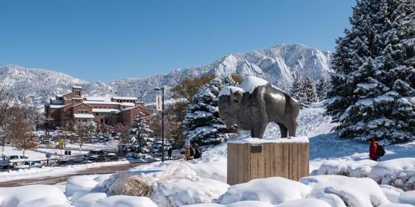 Snow covered Ralphie statue