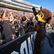 Chip and fans cheer on the Buffs at Folsom Field